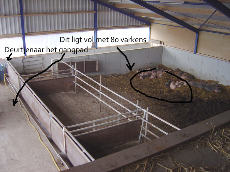 stalplattegrondkopie
